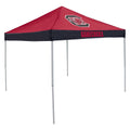 Economy Tailgate Canopy Tent B69035
