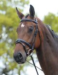 Black Padded Flash Bridle Y85054