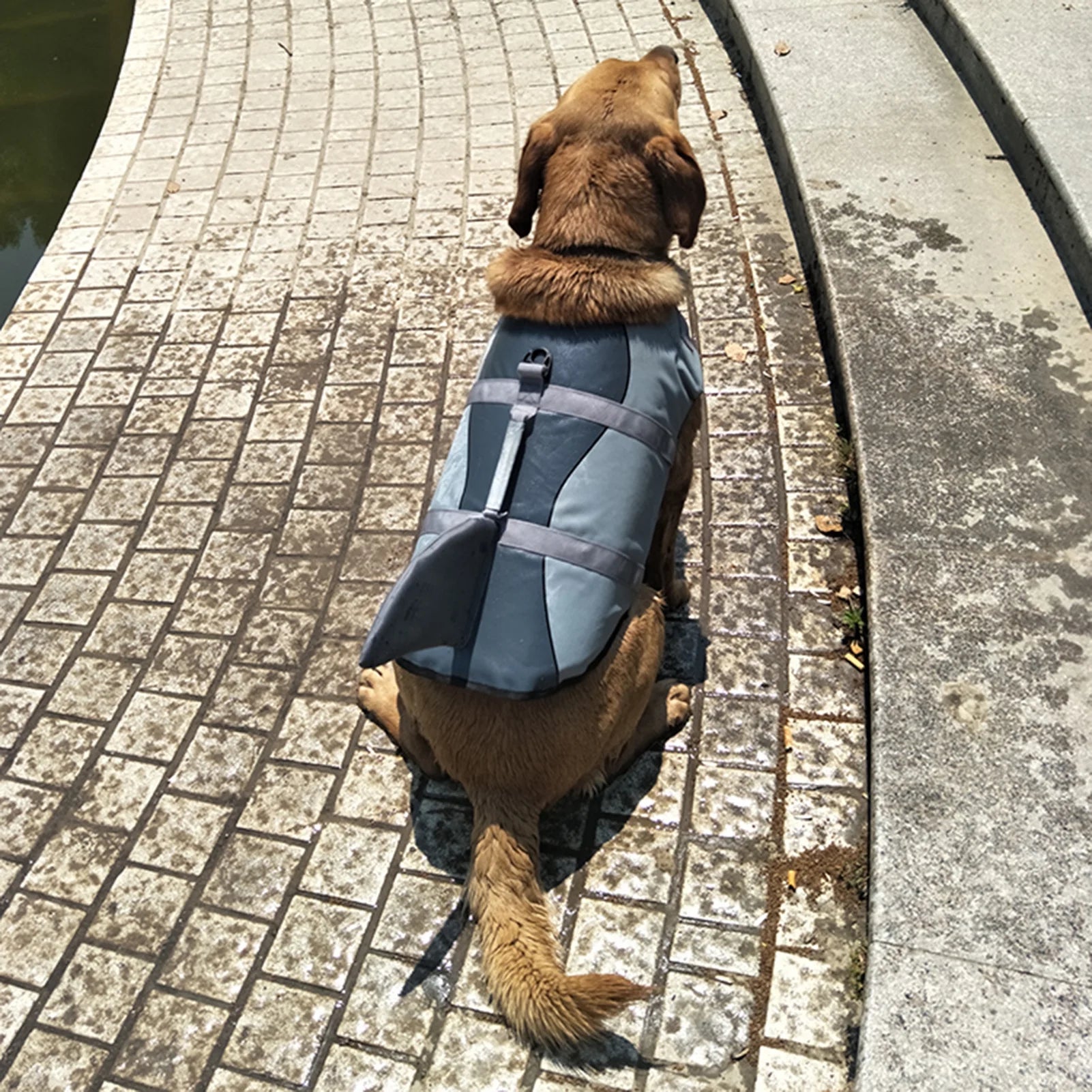 Dog Pet Shark Swimsuit Vest Safety Wear I78887