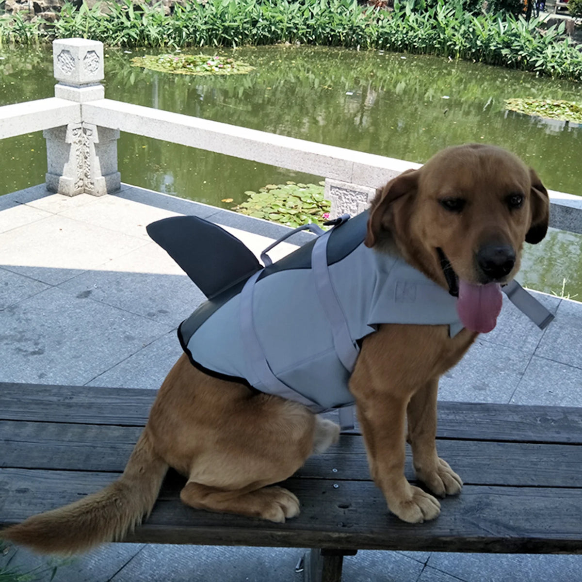 Dog Pet Shark Swimsuit Vest Safety Wear I78887
