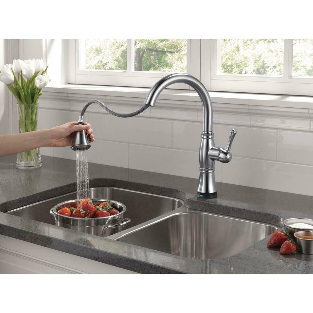 Arctic Stainless Pull-Out Spray Kitchen Faucet F117749