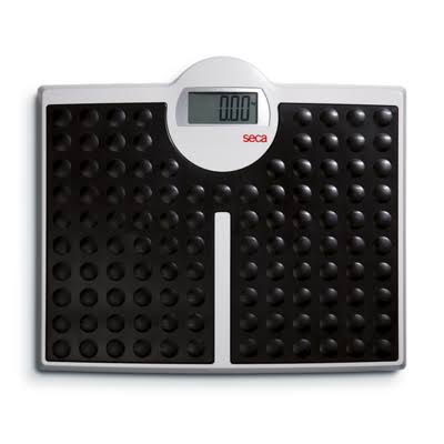 Digital Flat Scale with 440 lbs. Capacity I461
