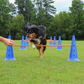Dog Agility Hurdle Cone Set R439666