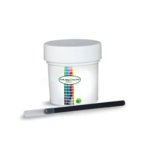 66 Single Stage Automotive Paint 1 Oz Bottle Y173