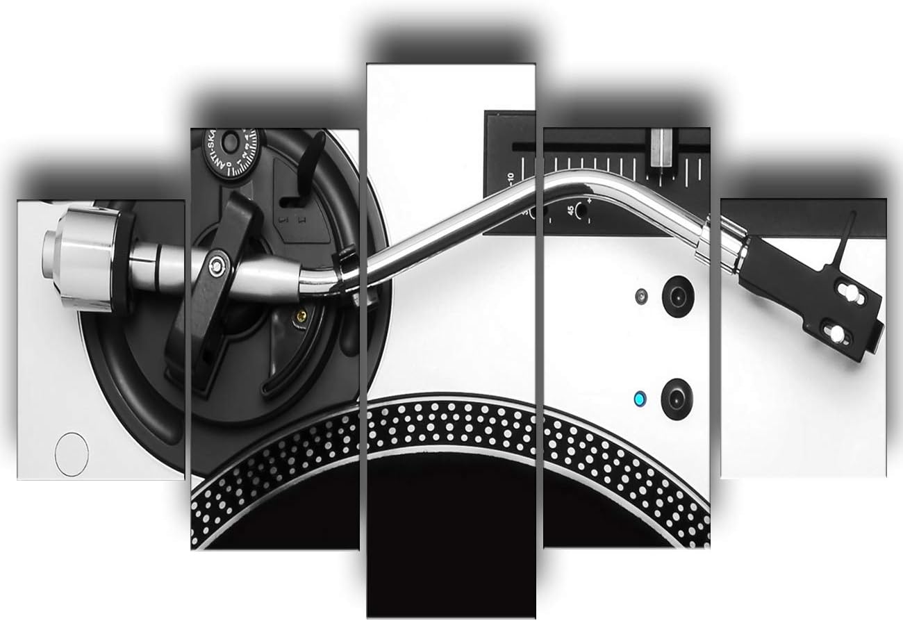 Black and White 5 Piece Canvas Wall Art Turntables Paintings E6524