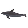 Bottlenose Dolphin Animal Figure K713032