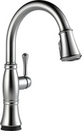 Arctic Stainless Pull-Out Spray Kitchen Faucet F117749
