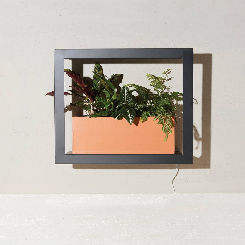 Matte Black Smart Growframe B84524