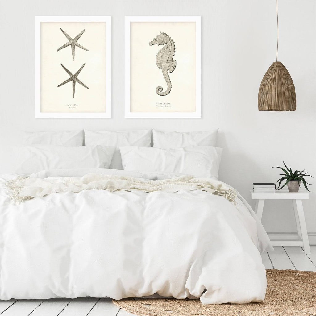 2 Piece White Framed Print Set O2783