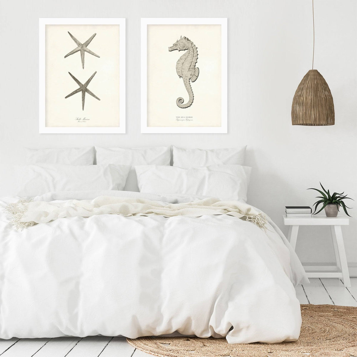 2 Piece White Framed Print Set O2783