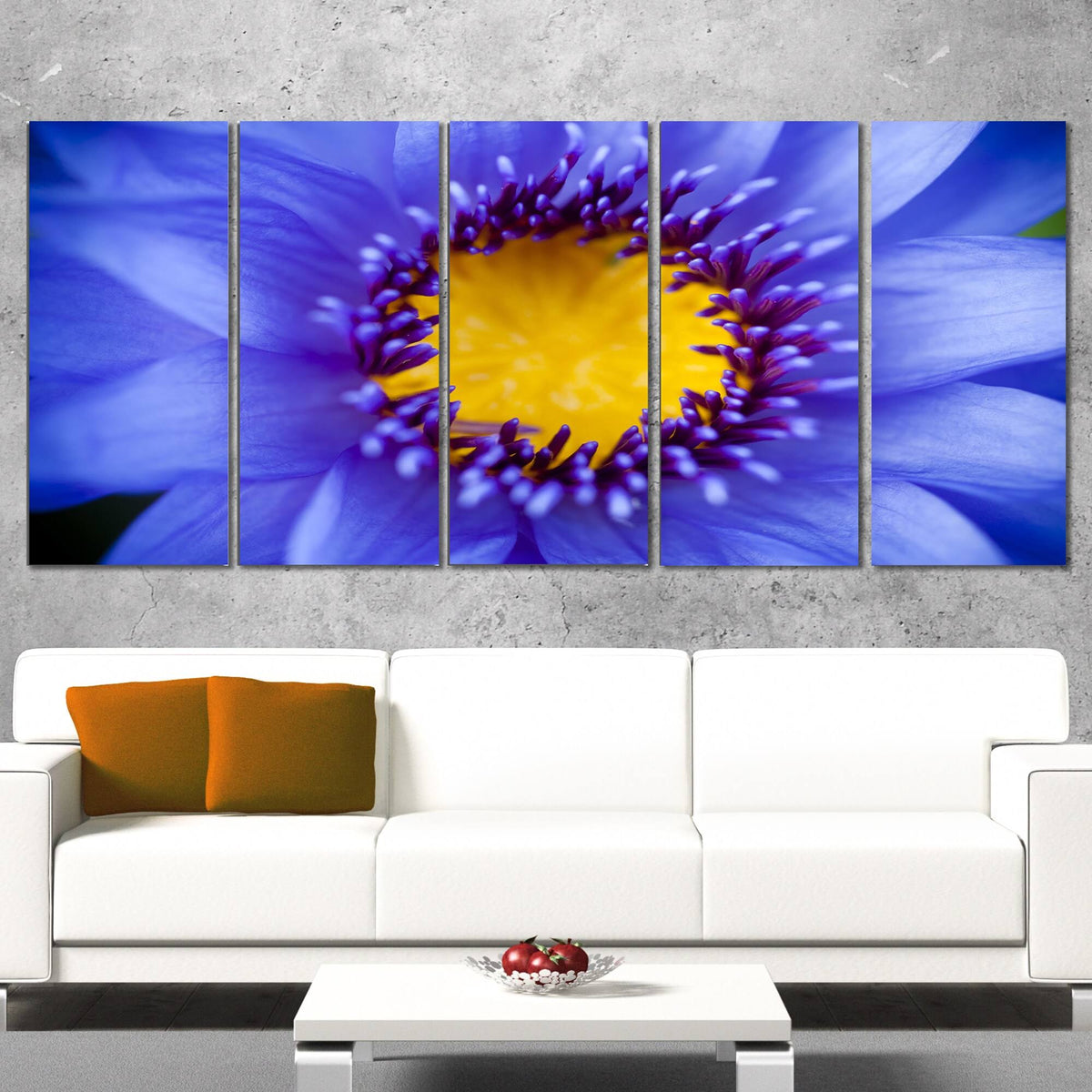 5 Piece Graphic Art on Wrapped Canvas Set U72498