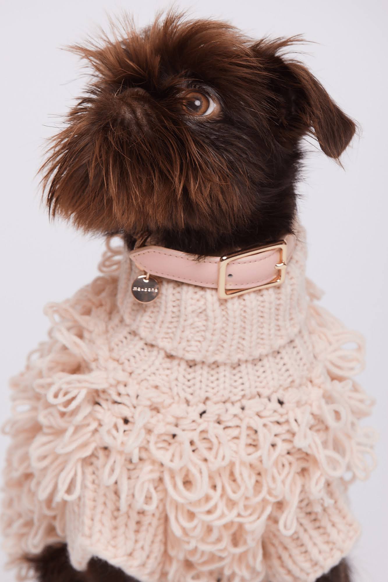 Leather Dog Collar R243193