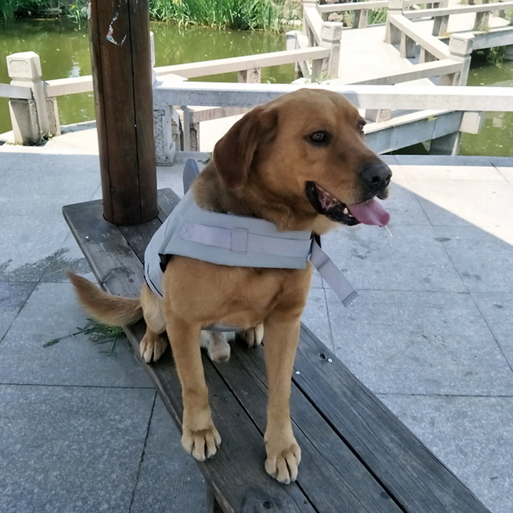 Dog Pet Shark Swimsuit Vest Safety Wear I78887