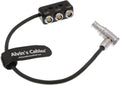 Power Cable 7 Pin to RS 3 Pin and 2×2 Pin 1 to 3 Power Splitter Box 11.8in/30cm I609