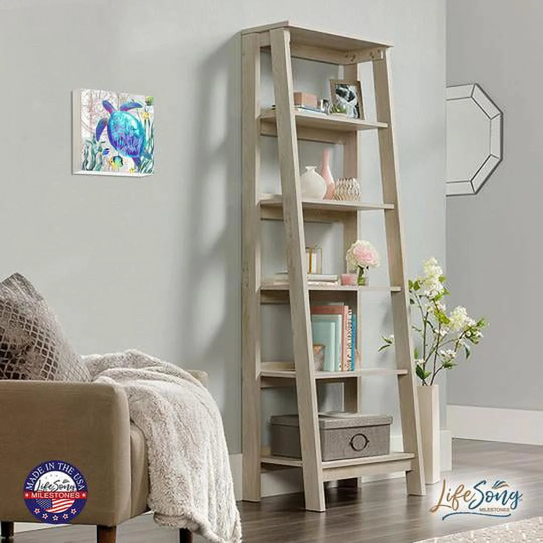 Turtle Art Canvas Shadow Box A5837