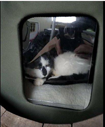 Cat House O5317