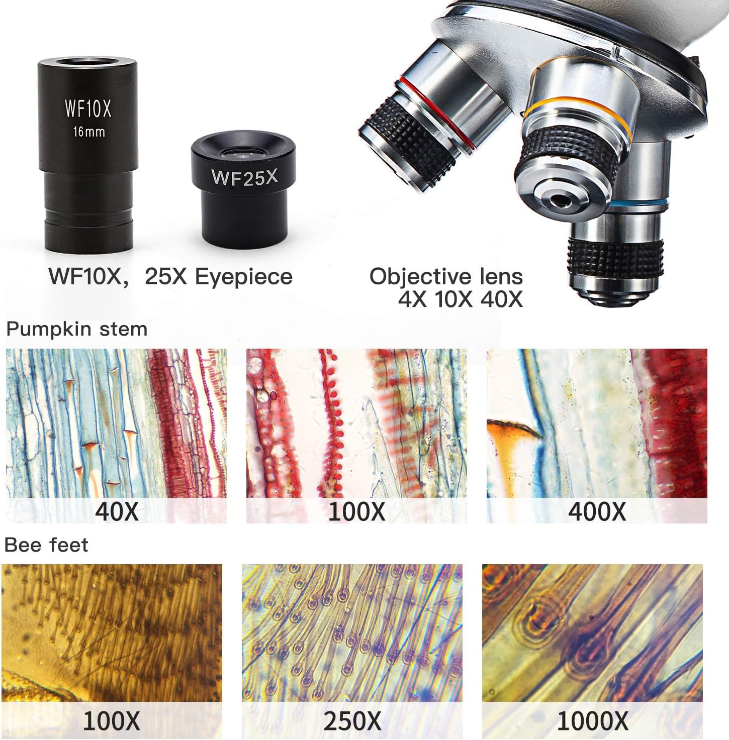 Compound Student Microscope, 40X-1000X, Monocular Head, Dual Illumination K853