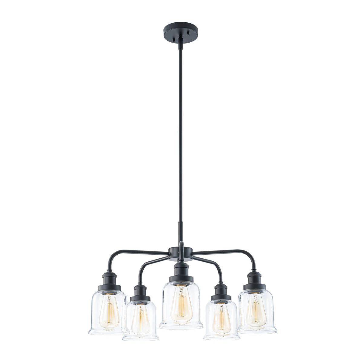 5-Light Dimmable Glass Farmhouse Chandelier T171496