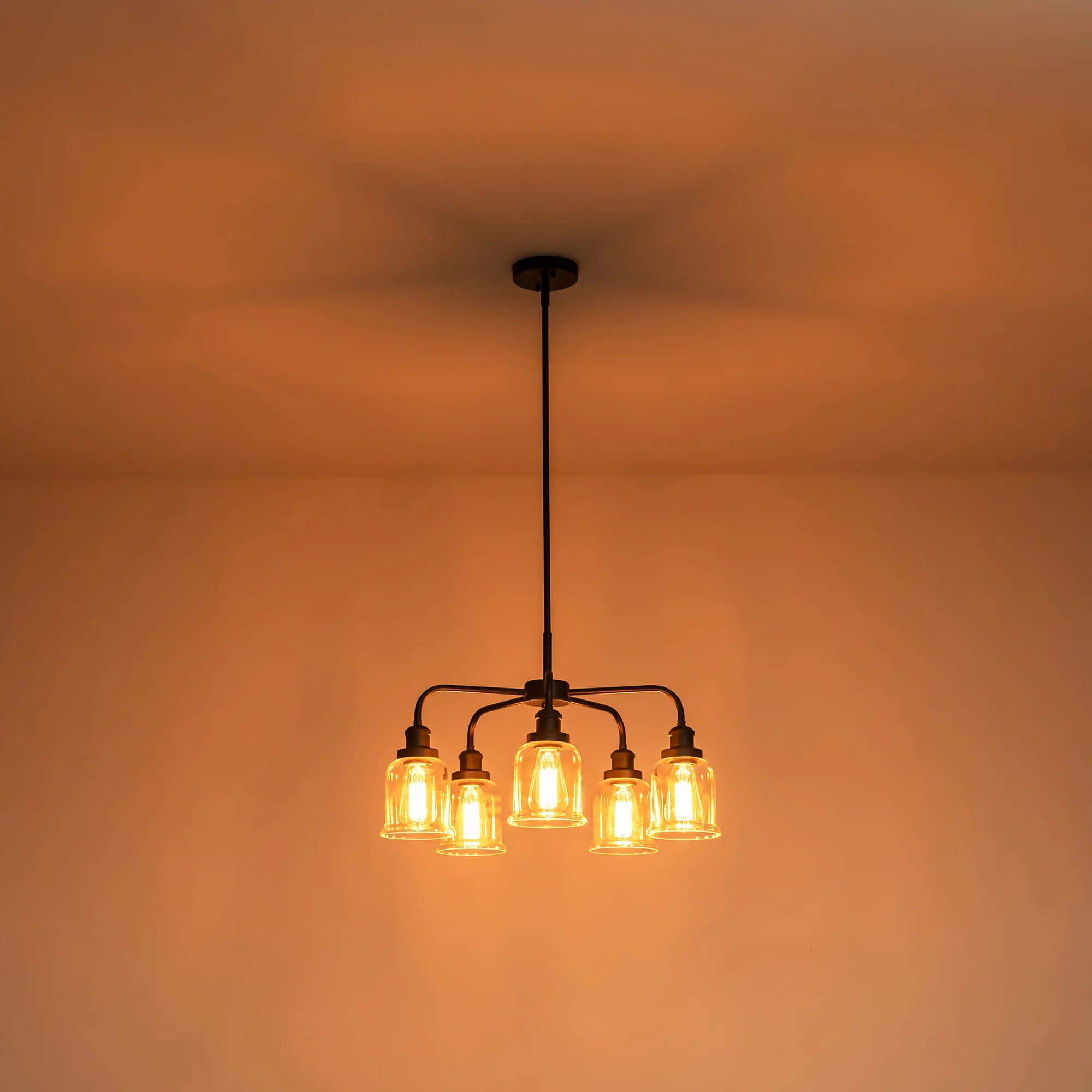 5-Light Dimmable Glass Farmhouse Chandelier T171496