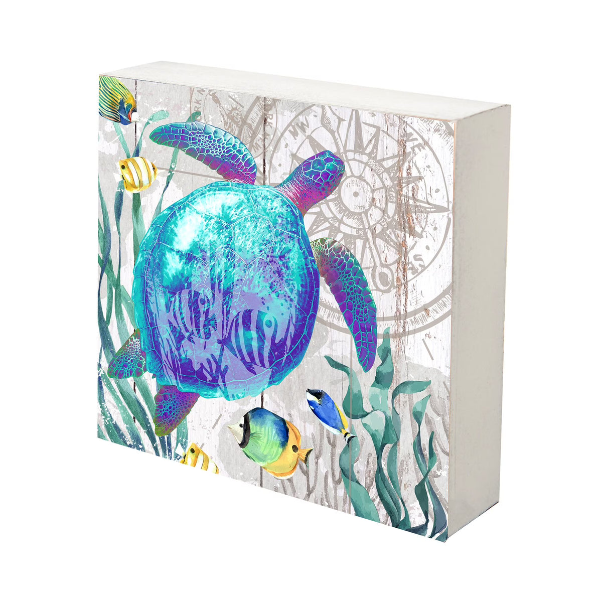 Turtle Art Canvas Shadow Box A5837
