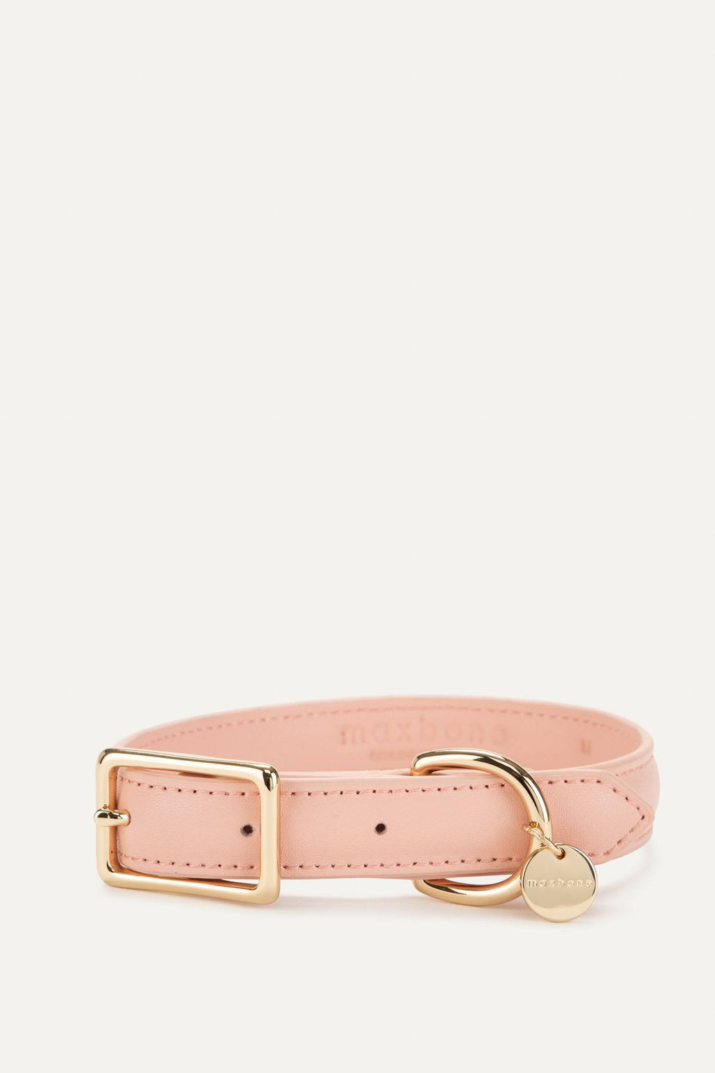 Leather Dog Collar R243193