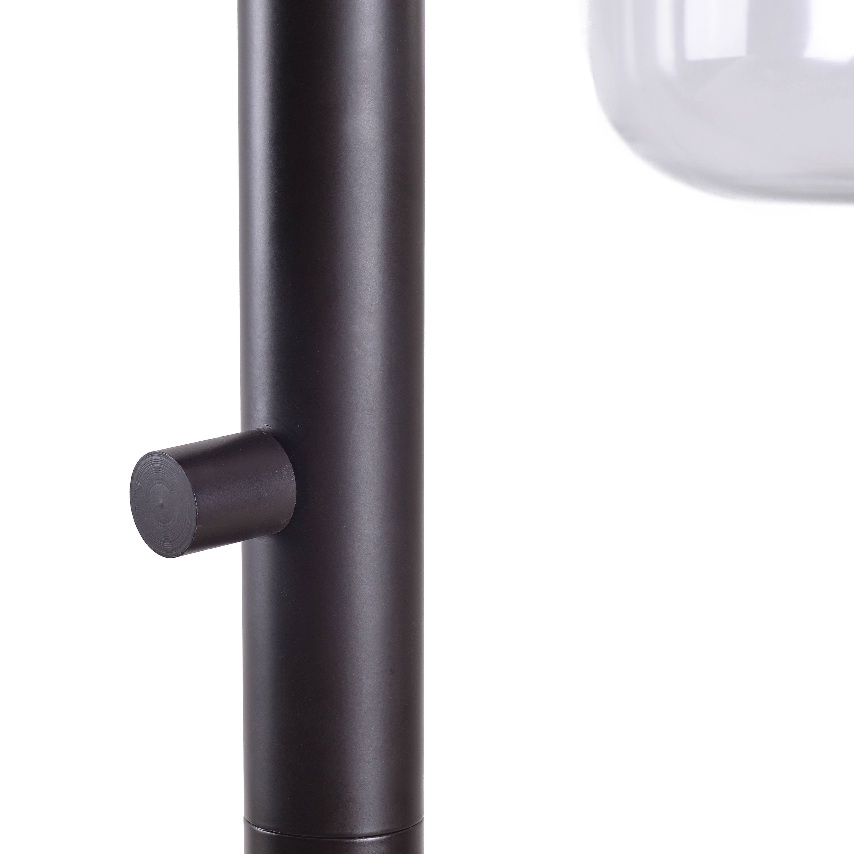Black Floor Lamp F109