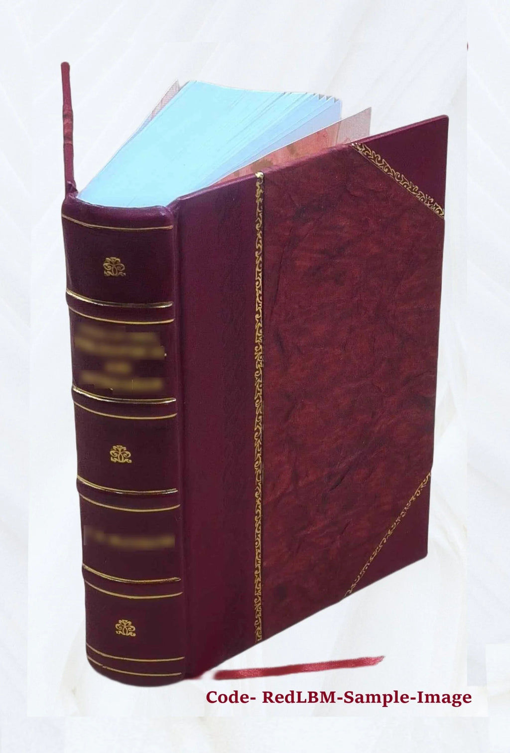 Leather Bound Book D520646