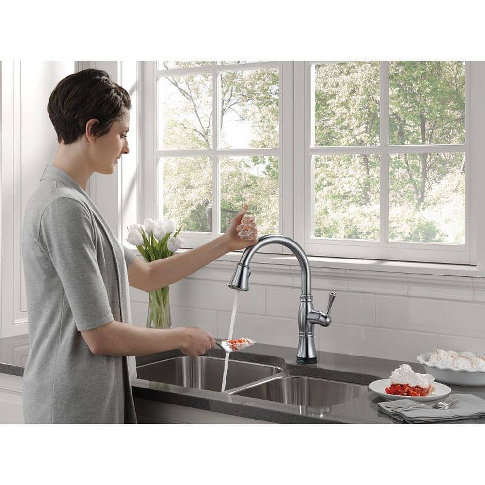 Arctic Stainless Pull-Out Spray Kitchen Faucet F117749