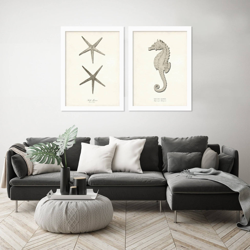 2 Piece White Framed Print Set O2783