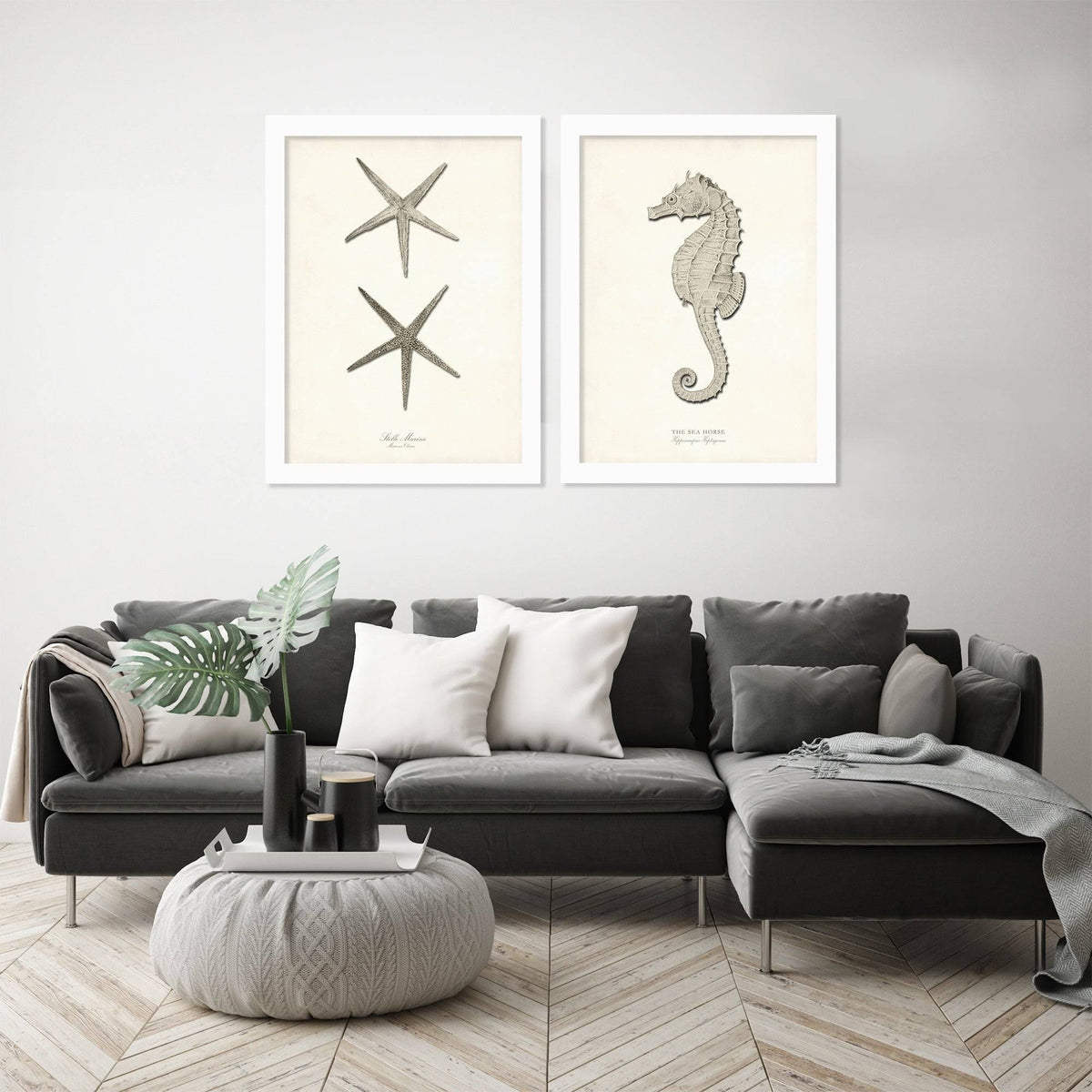 2 Piece White Framed Print Set O2783