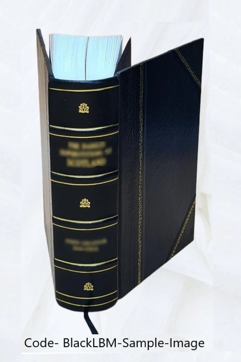 Leather Bound Book D520646