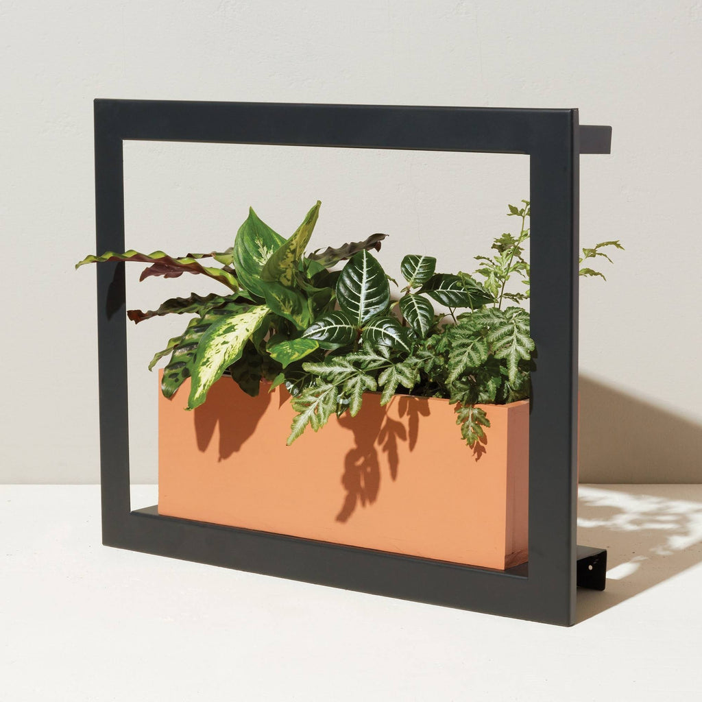 Matte Black Smart Growframe B84524