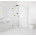 Hinged Frameless Shower Door D421