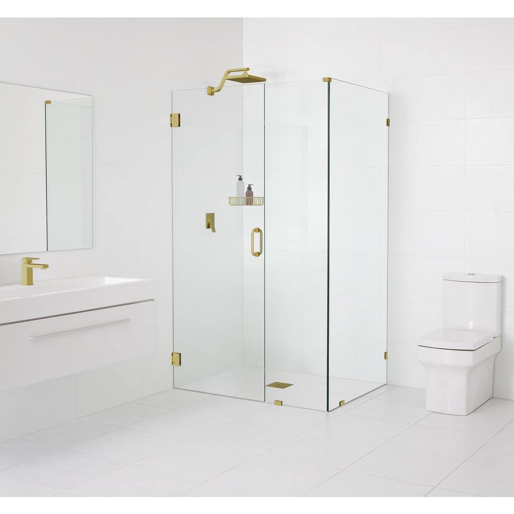 Hinged Frameless Shower Door D421