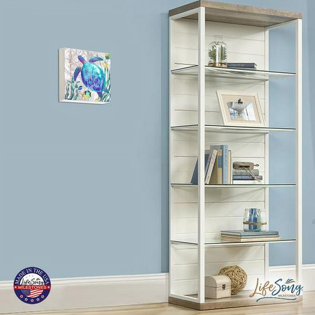 Turtle Art Canvas Shadow Box A5837