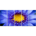 5 Piece Graphic Art on Wrapped Canvas Set U72498