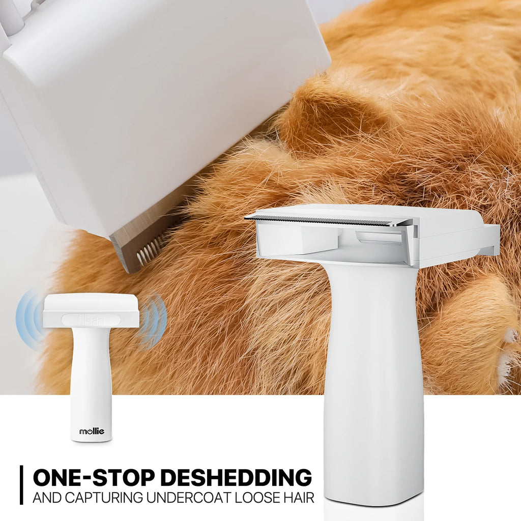 Blue 3-in-1 Pet Grooming Vacuum Kit with 6 Grooming Tools T60395
