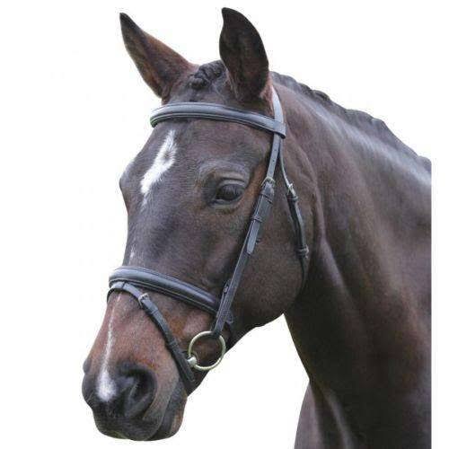 Black Padded Flash Bridle Y85054