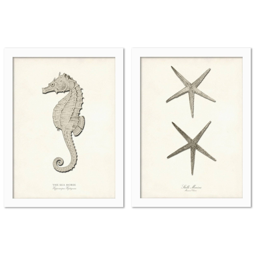 2 Piece White Framed Print Set O2783