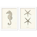 2 Piece White Framed Print Set O2783