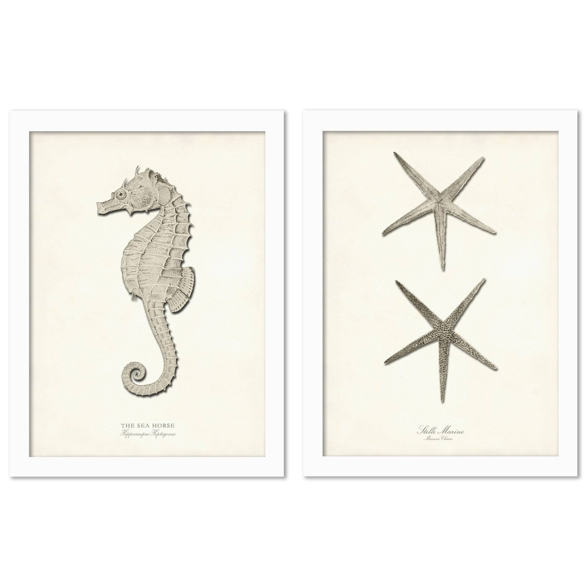 2 Piece White Framed Print Set O2783