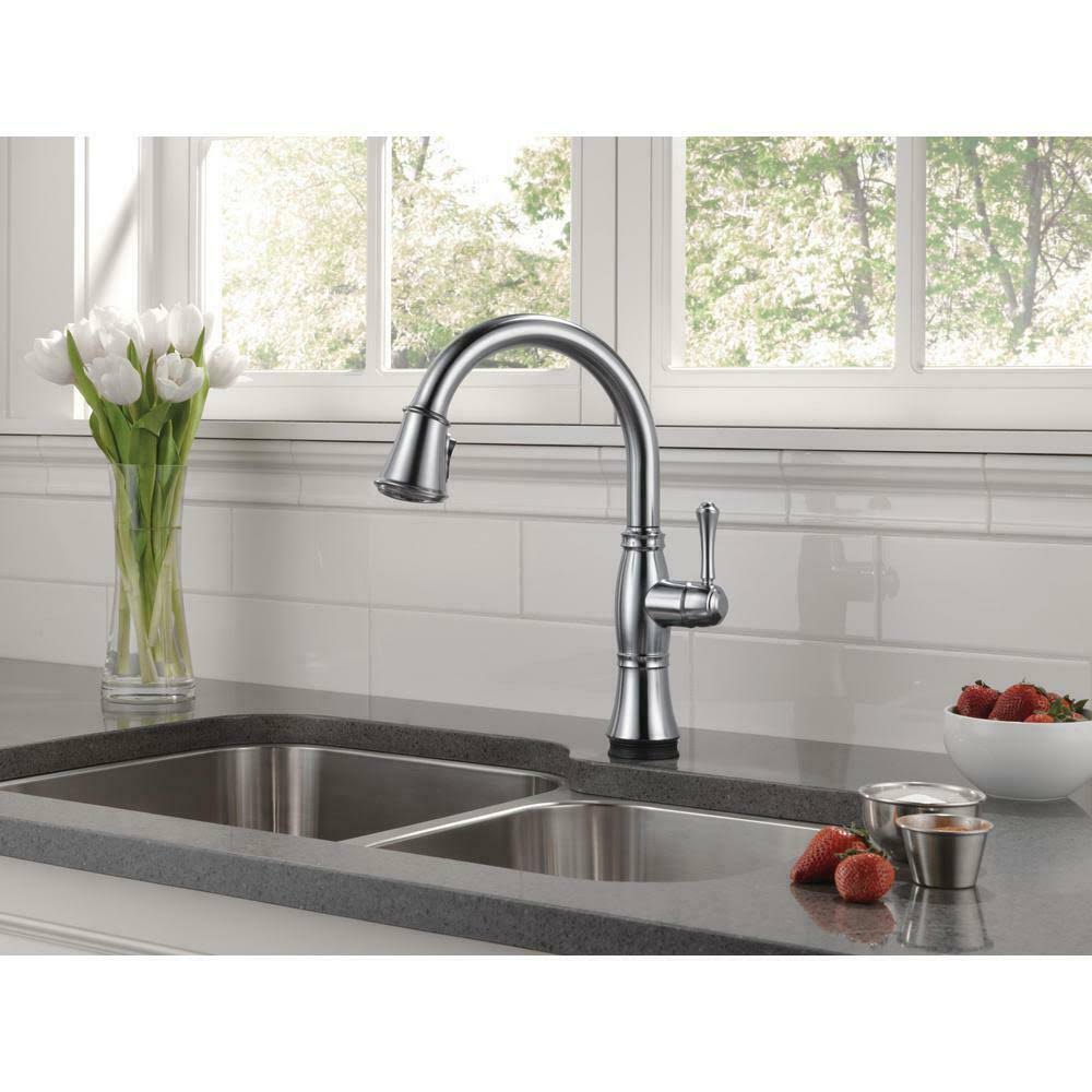 Arctic Stainless Pull-Out Spray Kitchen Faucet F117749