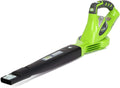 40V Cordless Leaf Blower with 4.0Ah Battery and Charger L254
