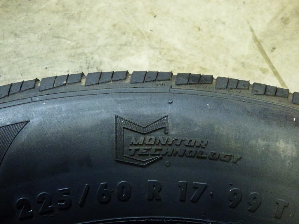 225/60R17 99T Radial Tire E618479